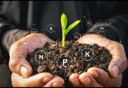 食品原料小百科：植物中能用PQQ嗎？