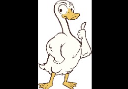 食品原料小百科：PQQ在動物領(lǐng)域的應(yīng)用？