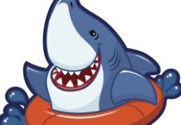 食品原料小百科：硫酸軟骨素可以用在什么地方？