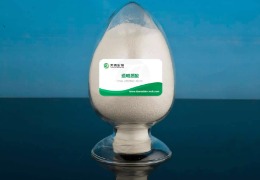 什么是透明質(zhì)酸？