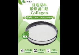 【驚艷一夏】魚膠原蛋白肽，讓你的肌膚不再年輕一代！