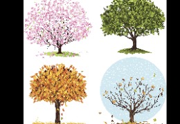 為什么換季皮膚易干燥？