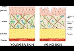 正確選擇精華素，讓你的肌膚更緊致、更年輕