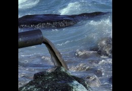 核輻射風(fēng)波，日妝還能用嗎？